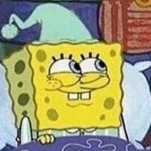 Meet your Posher, Silly